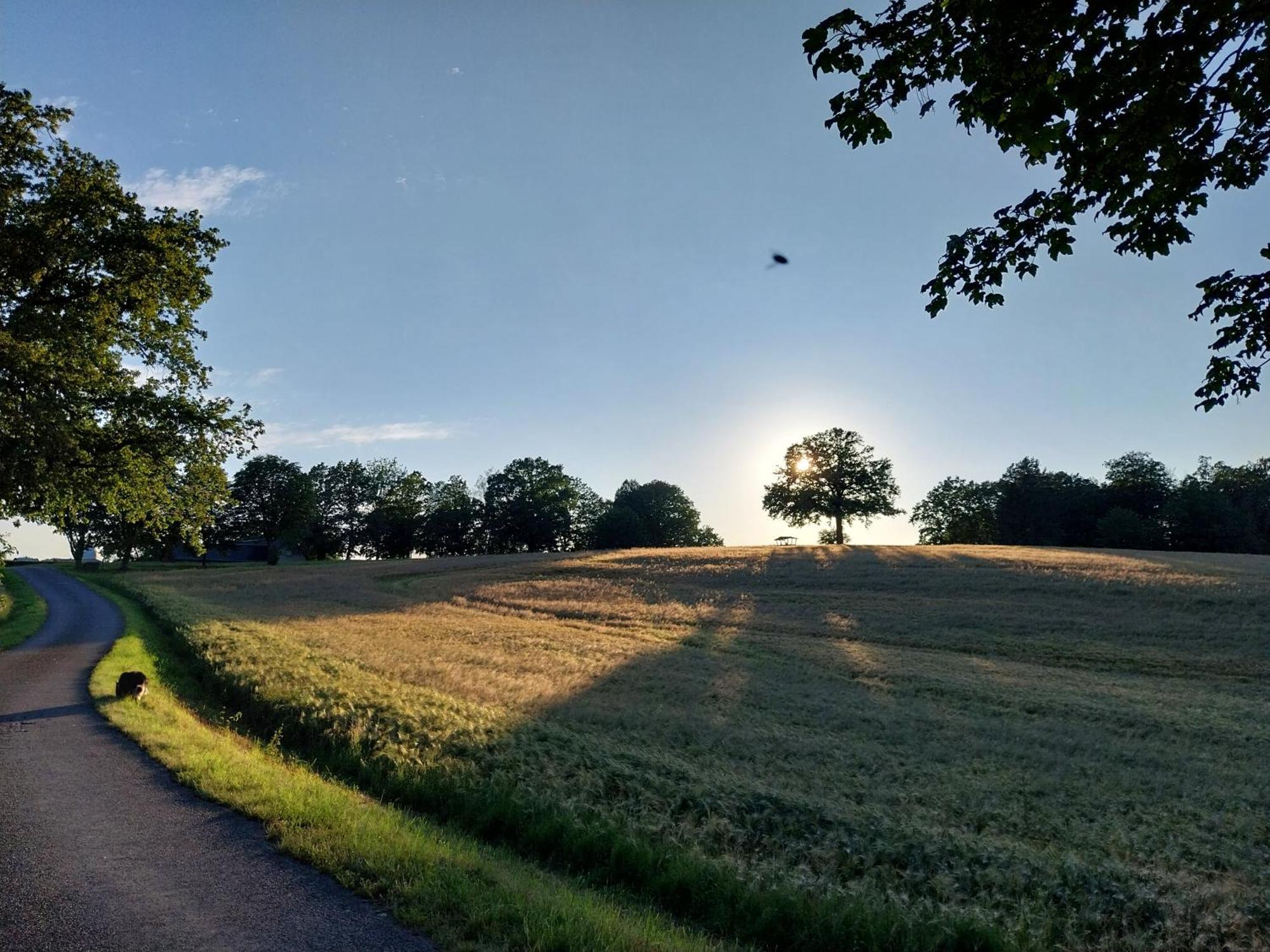 Landhotel Waldschloesschen Mit Gaststube Sohland an der Spree Экстерьер фото